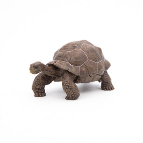 Figurine Tortue des Galápagos Papo en PVC, thème reptiles, Collection Animaux sauvages, jouet éducatif idéal pour enfants et collectionneurs