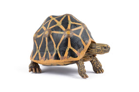 Figurine Tortue étoilee