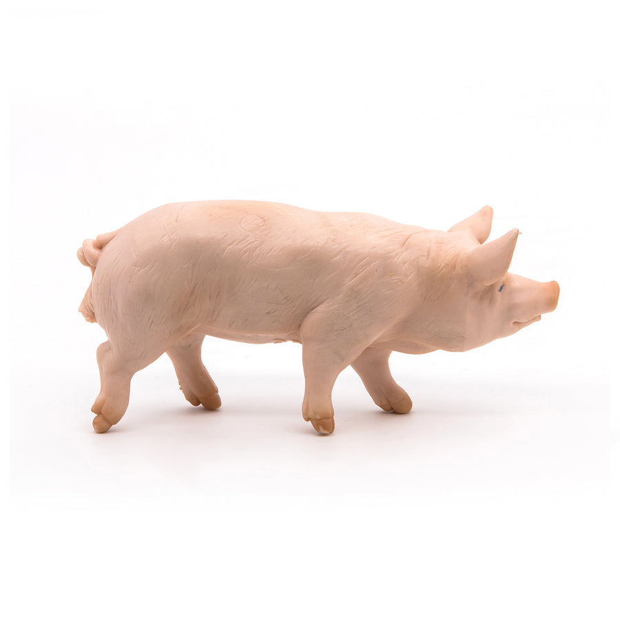 Verrat Papo en PVC, Collection Vie à la ferme, jouet éducatif idéal pour enfants et collectionneurs