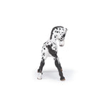 Poulain appaloosa noir Papo en PVC, Collection chevaux, jouet éducatif idéal pour enfants et collectionneurs