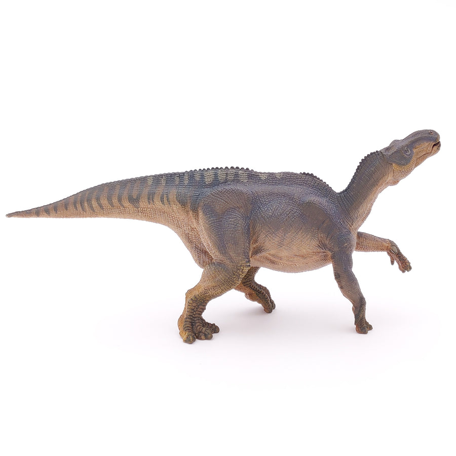 Iguanodon Papo en PVC, Collection Dinosaures, jouet éducatif idéal pour enfants et collectionneurs