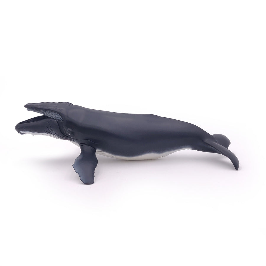 Baleine à bosse Papo en PVC, Collection animaux marins, jouet éducatif idéal pour enfants et collectionneurs