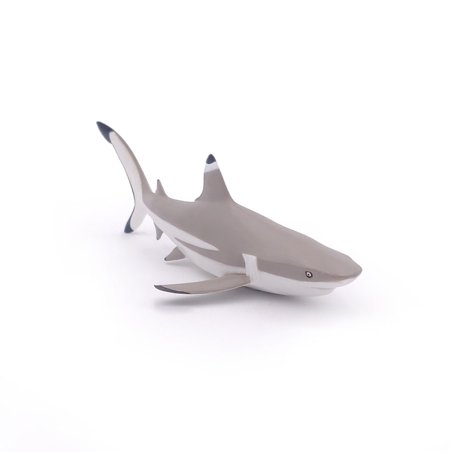 Figurine Requin à pointes noires Papo en PVC, Collection animaux marins, jouet éducatif idéal pour enfants et collectionneurs