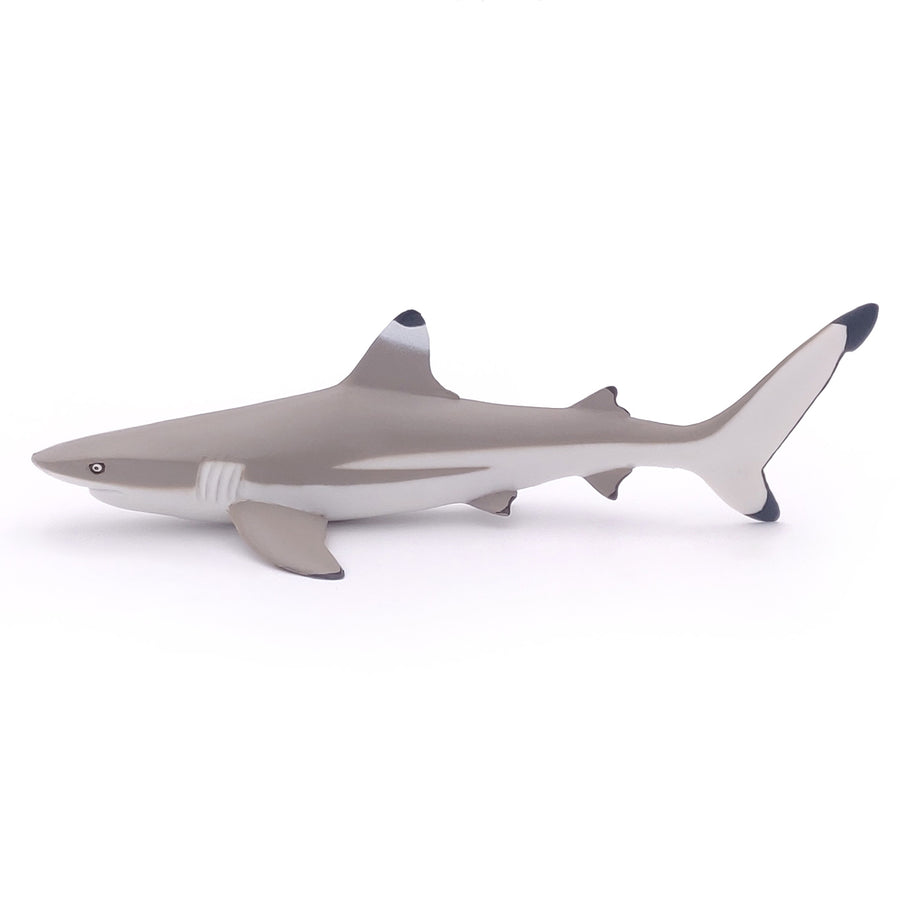 Figurine Requin à pointes noires Papo en PVC, Collection animaux marins, jouet éducatif idéal pour enfants et collectionneurs