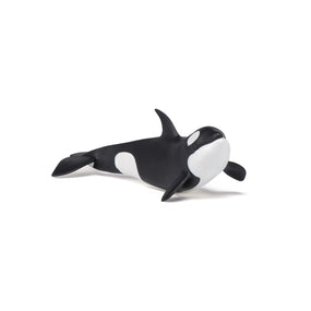 Figurine Bébé orque Papo en PVC, Collection animaux marins, jouet éducatif idéal pour enfants et collectionneurs